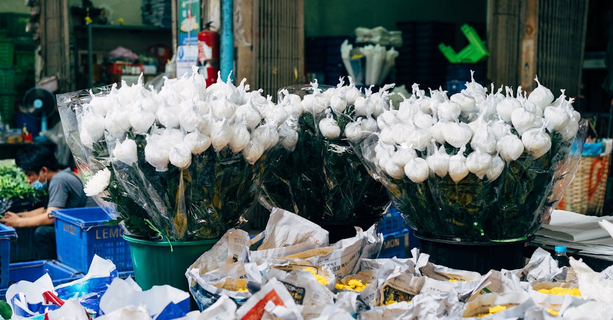 A Guide to Selecting Annual Flowers for Year-Round Colour in Blackwood