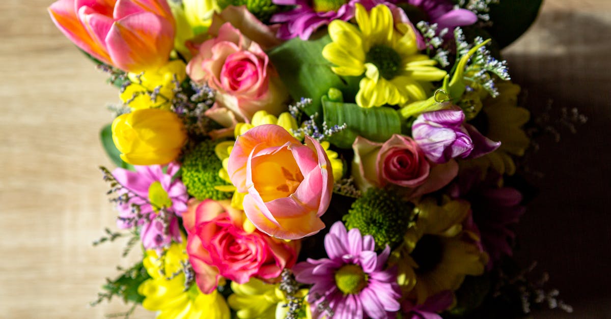 Best Practices for Modifying Soil for Blackwood Flowers