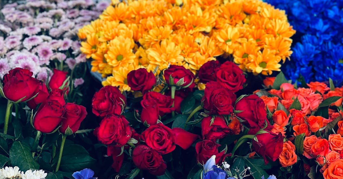 Best Practices for Monitoring Pest Populations in Blackwood Flowers