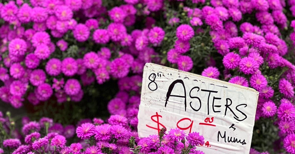 Colours and Textures of Australia's Exotic Flora