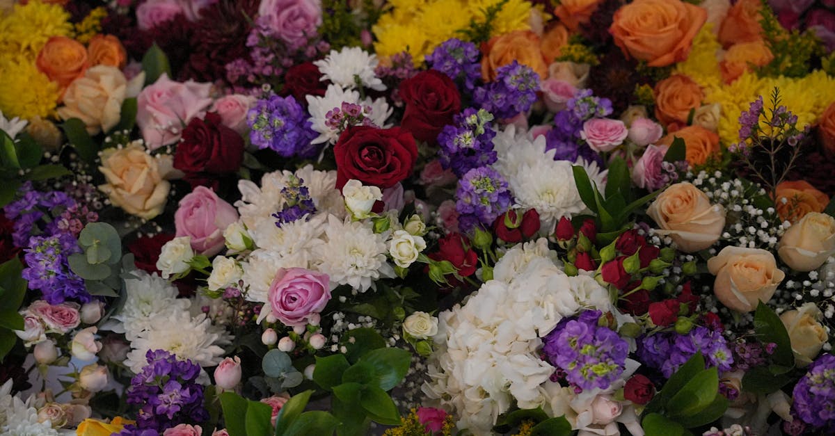 Common Fertiliser Types and Their Effects on Blackwood Flowers