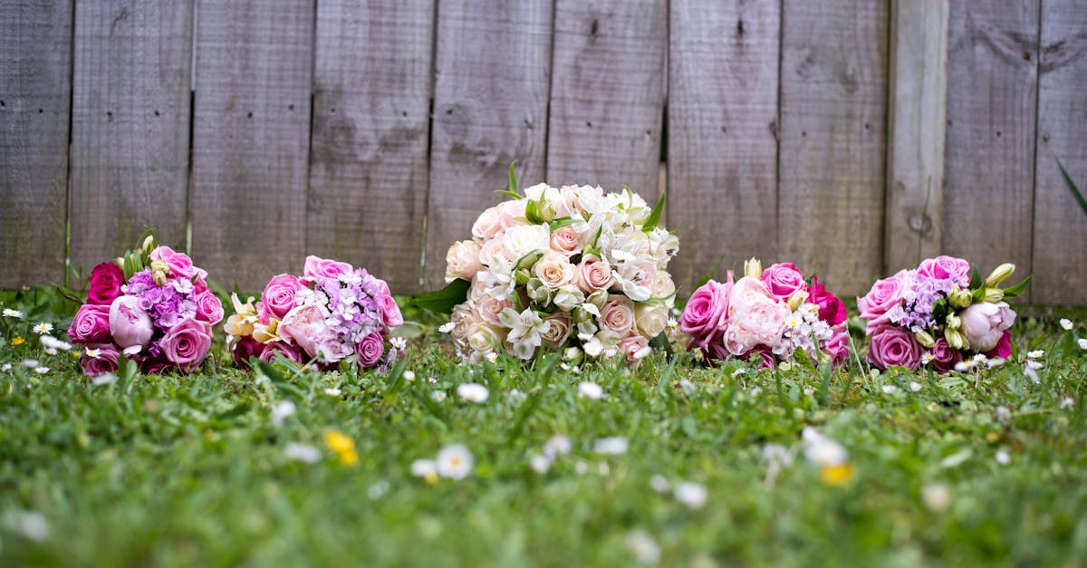 Common Mistakes to Avoid When Pruning Blackwood Flowers