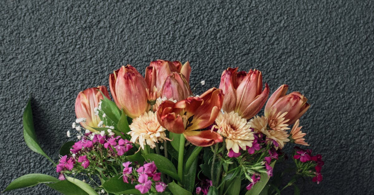 Common Watering Mistakes to Avoid with Blackwood Flower Cultivation