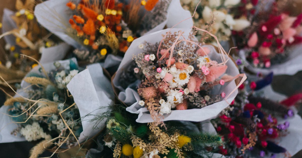 Companion Planting Strategies for Healthy Blackwood Flowers