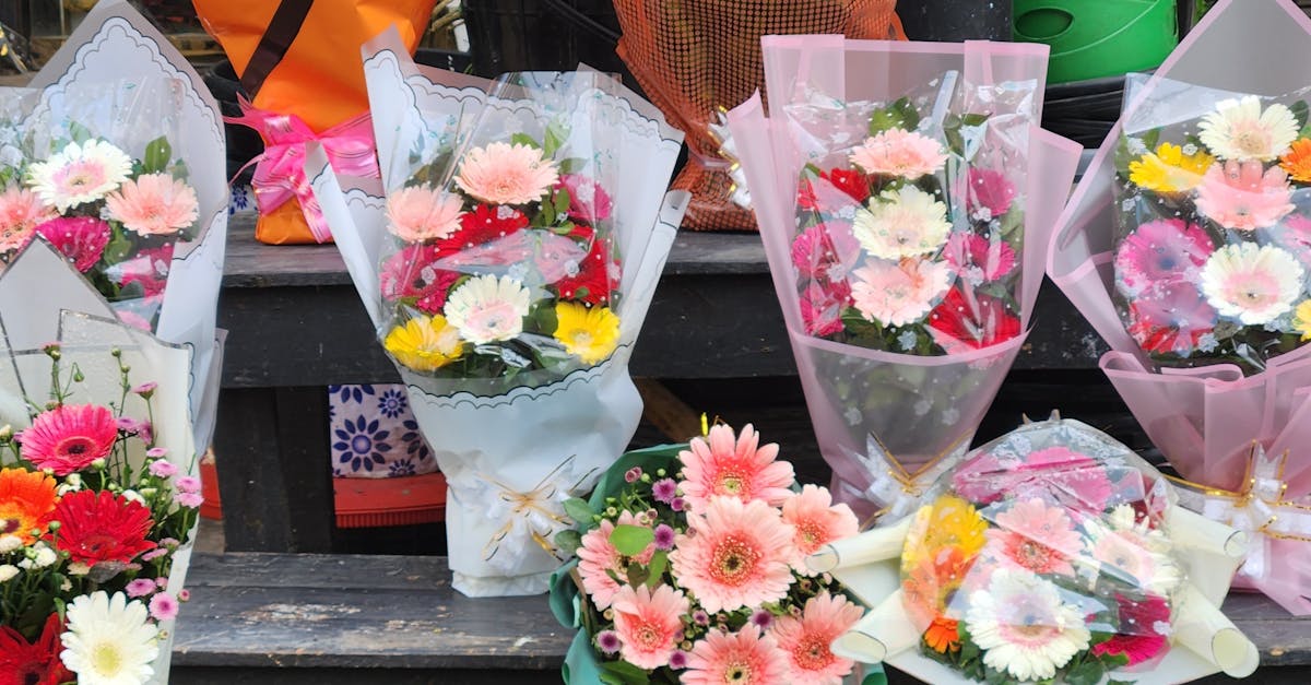 Comparing the Longevity of Perennials vs Annuals in Blackwood