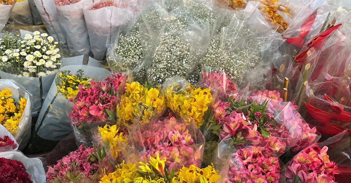 Creating Buzz: Enhancing Garden Diversity with Pollinator-Friendly Plants