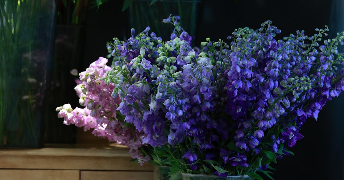 Designing Garden Spaces with Exotic Flower Combinations