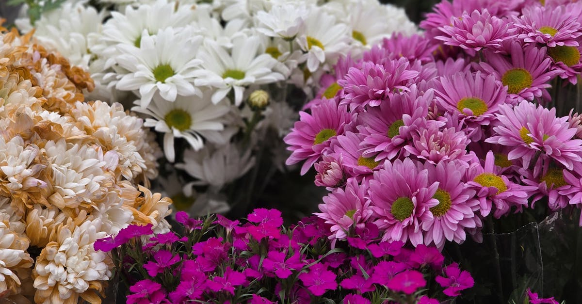 Drought-Tolerant Flowers: Aesthetic Solutions for Water-Smart Gardening
