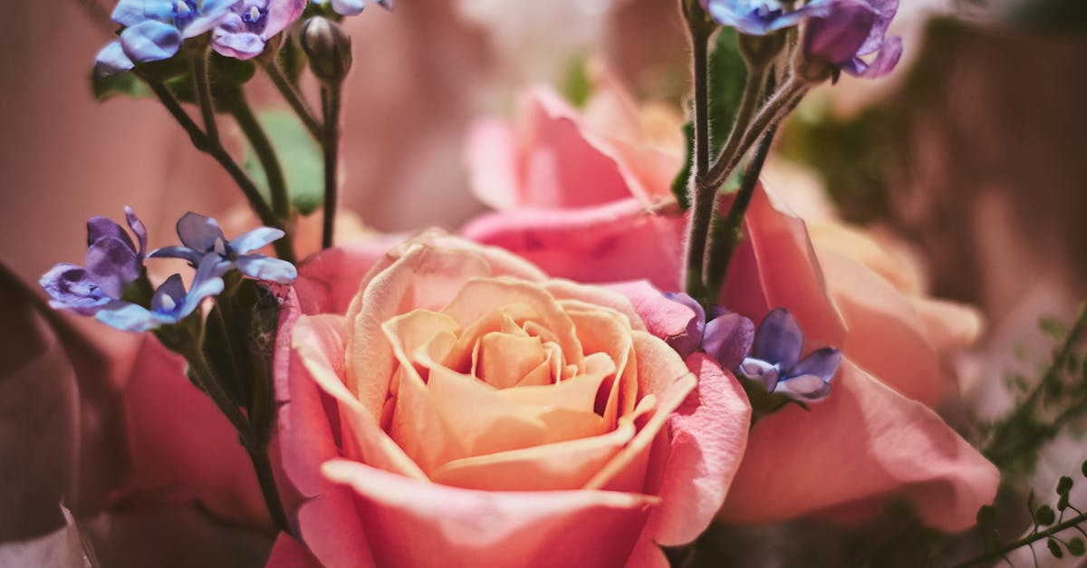 Effective Ways to Incorporate Native Flowers in Landscaping