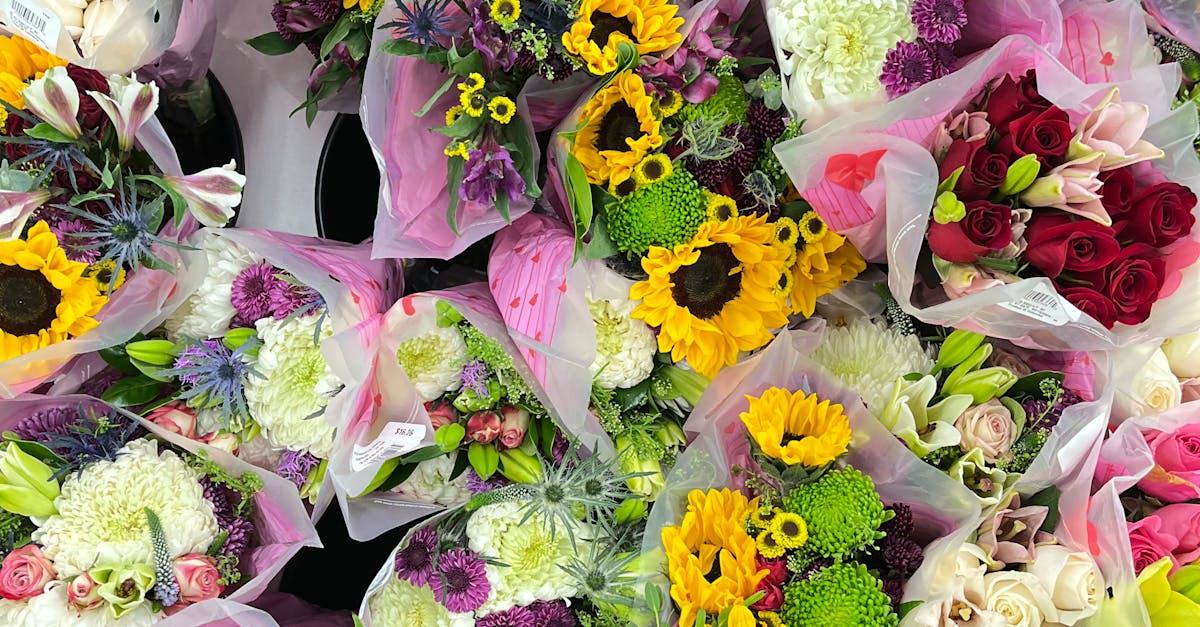 Exploring the Beauty of Waratahs in Blackwood