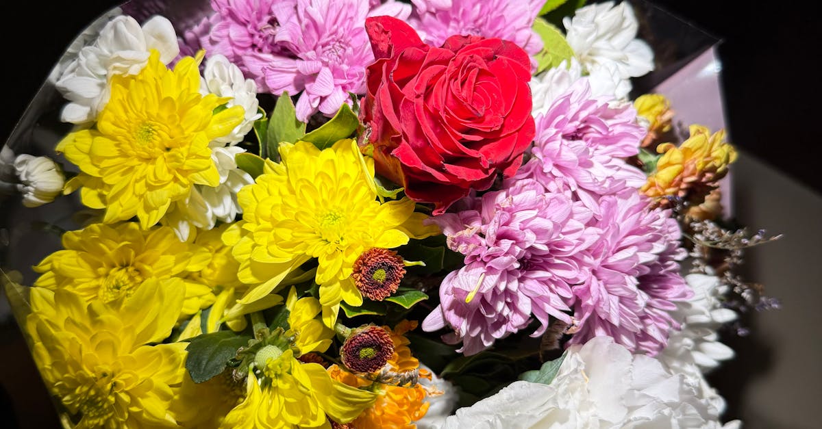 How to Create a Balanced Fertilisation Plan for Flower Gardens