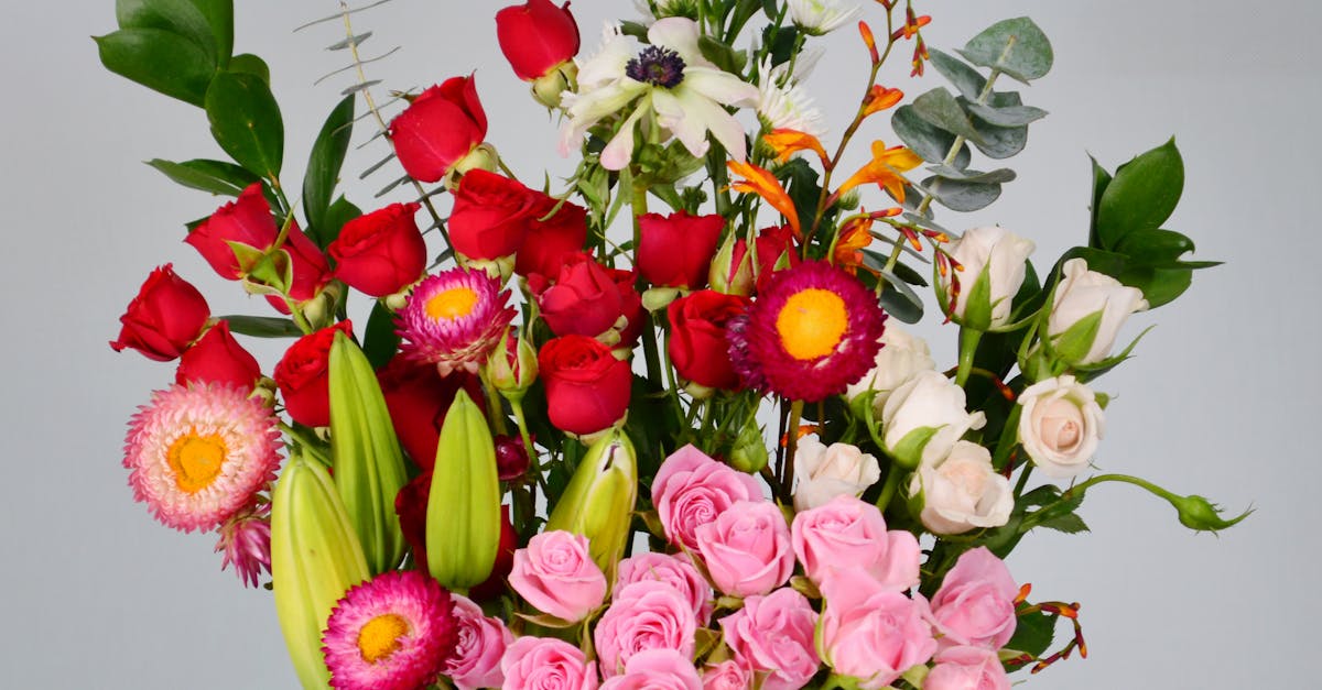 How to Grow Australian Native Flower Varieties