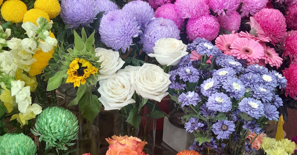 Natural Remedies for Blackwood Flower Pests