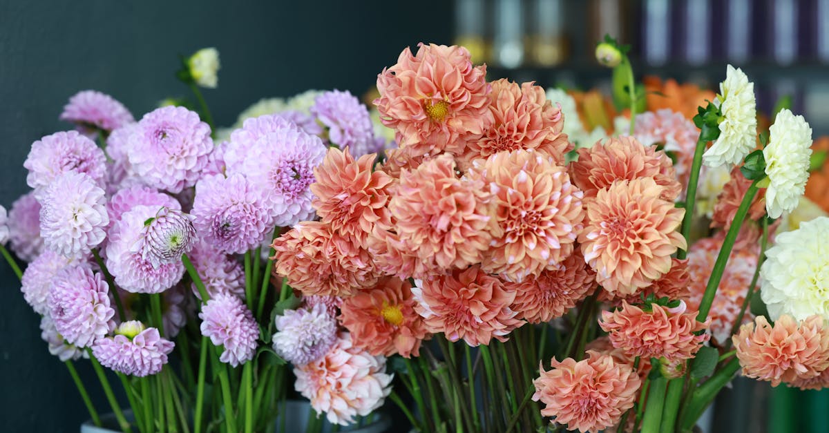 Optimising Nutrient Delivery for Blackwood Flowers