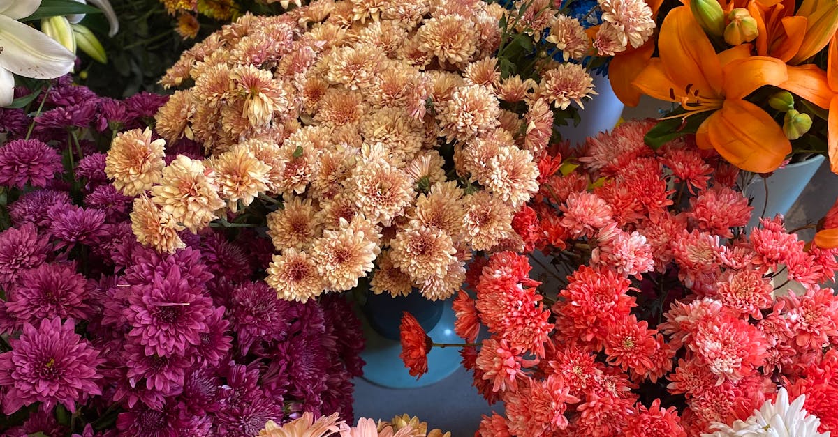 Popular Drought-Tolerant Species for Australian Gardens