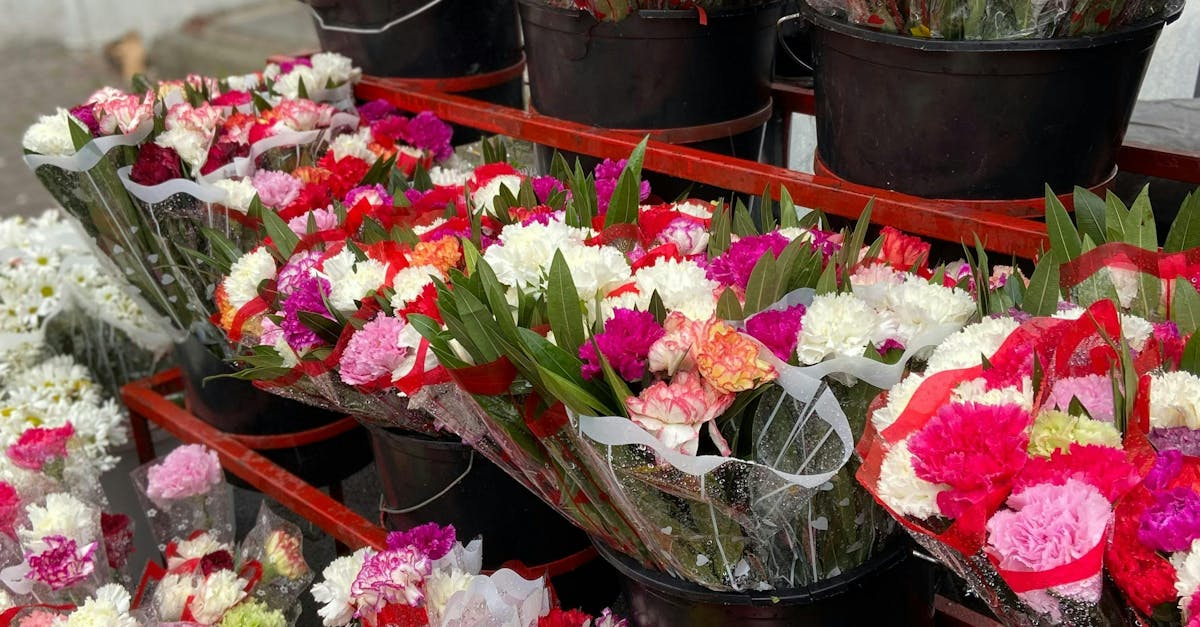 Preventative Measures for Pest Infestation in Blackwood Flower Beds