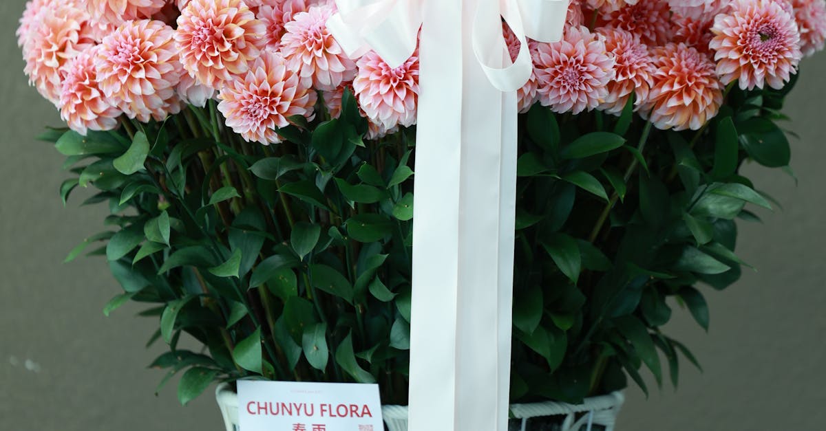 Seasonal Bloom: Choosing Pollinator-Friendly Flowers Throughout the Year