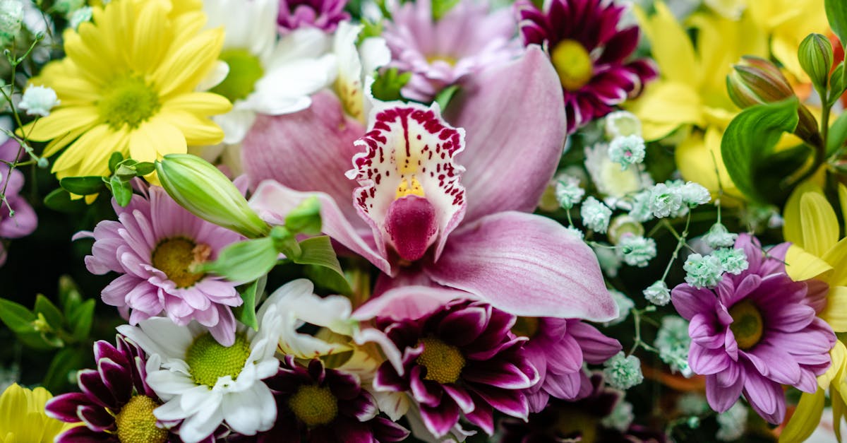 Selecting the Right Exotic Flowers for Your Climate