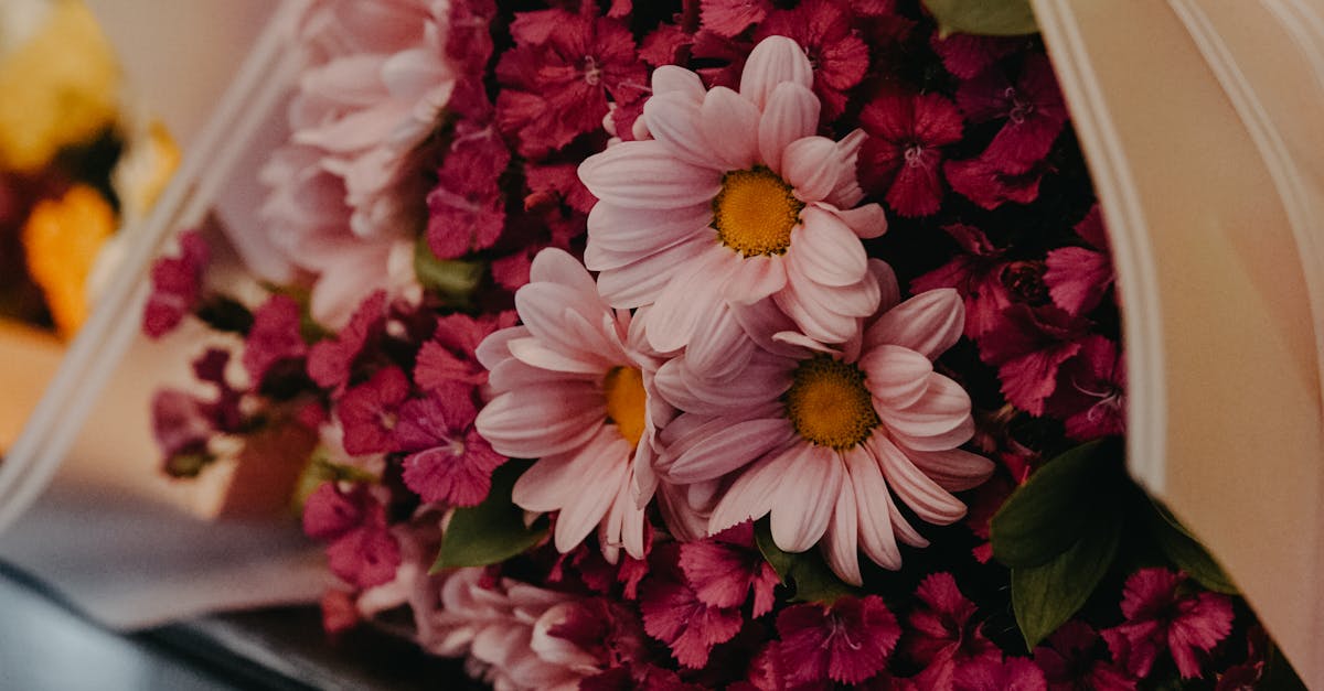 Strategies for Preventing Waterlogging in Blackwood Flower Gardens