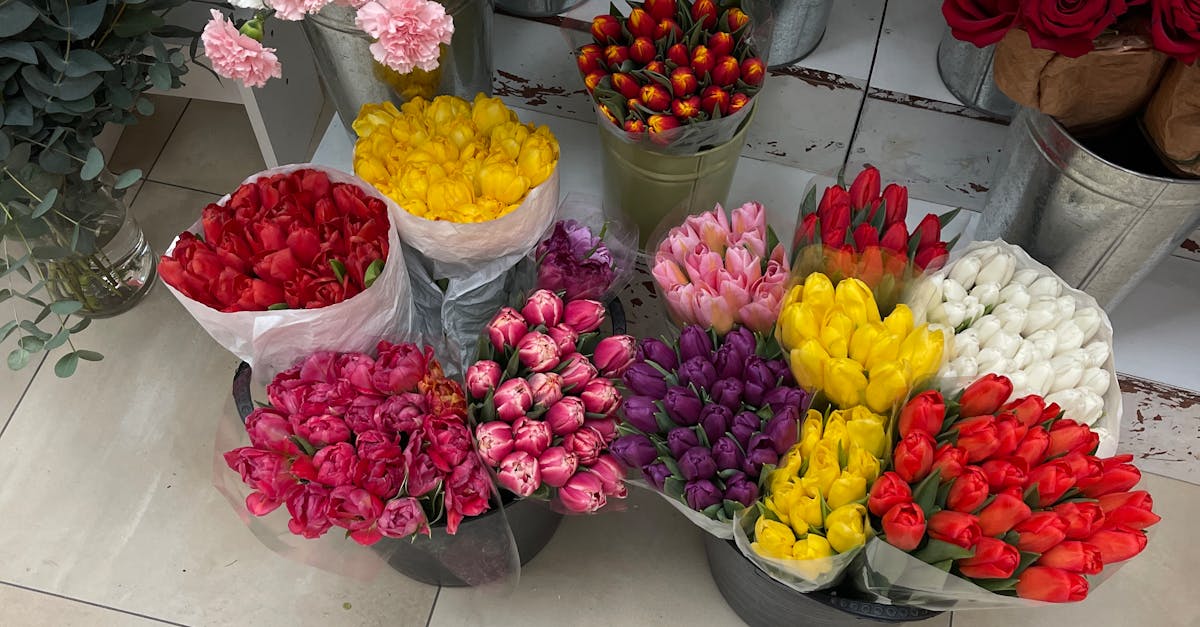 The Role of Clay Soil in Cultivating Blackwood Flowers