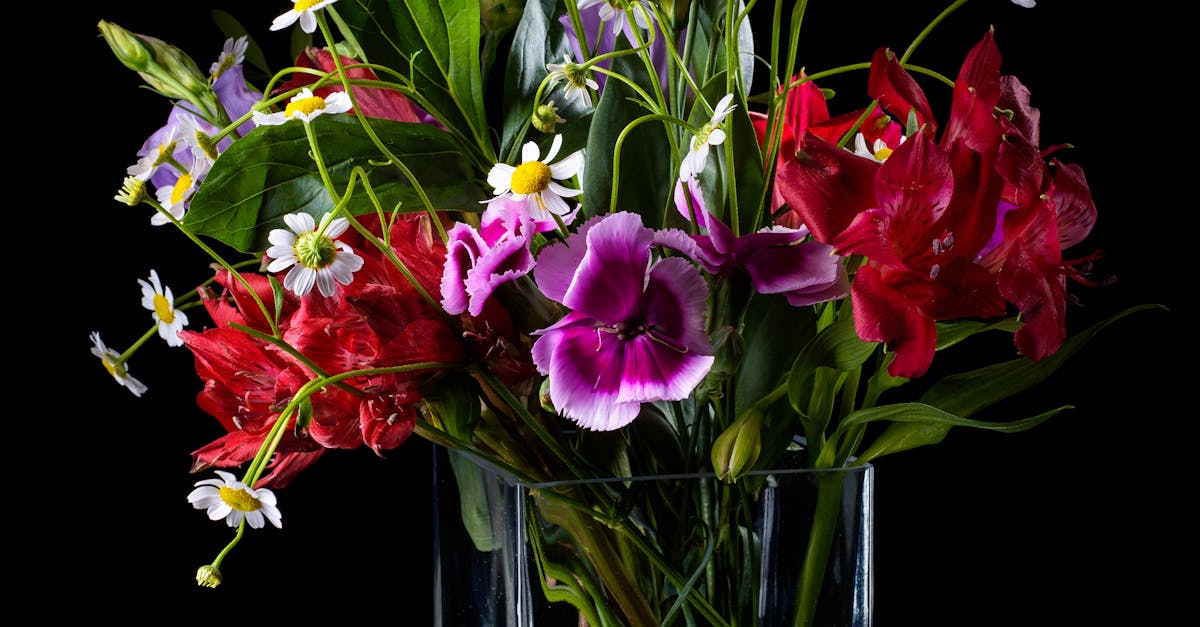 The Role of Micronutrients in the Health of Blackwood Flowers