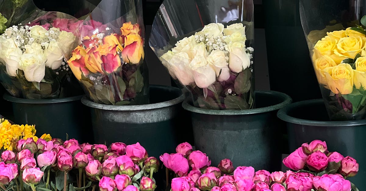 Understanding Soil Nutrients for Optimal Flower Growth in Blackwood