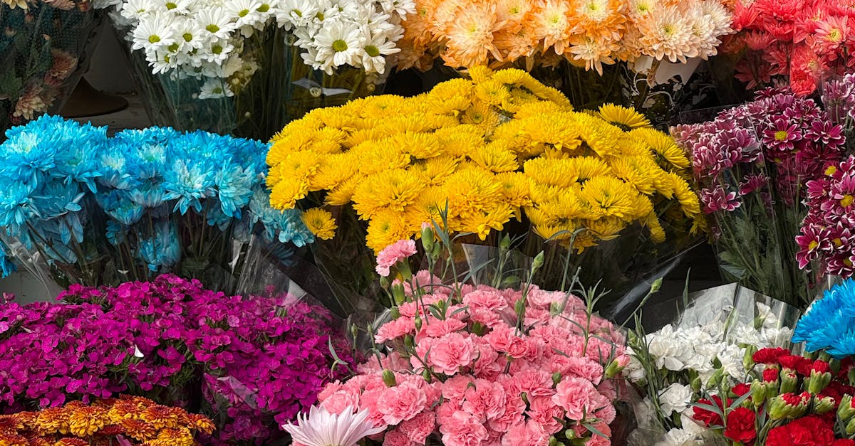 Understanding the Life Cycle of Perennial Flowers in Blackwood